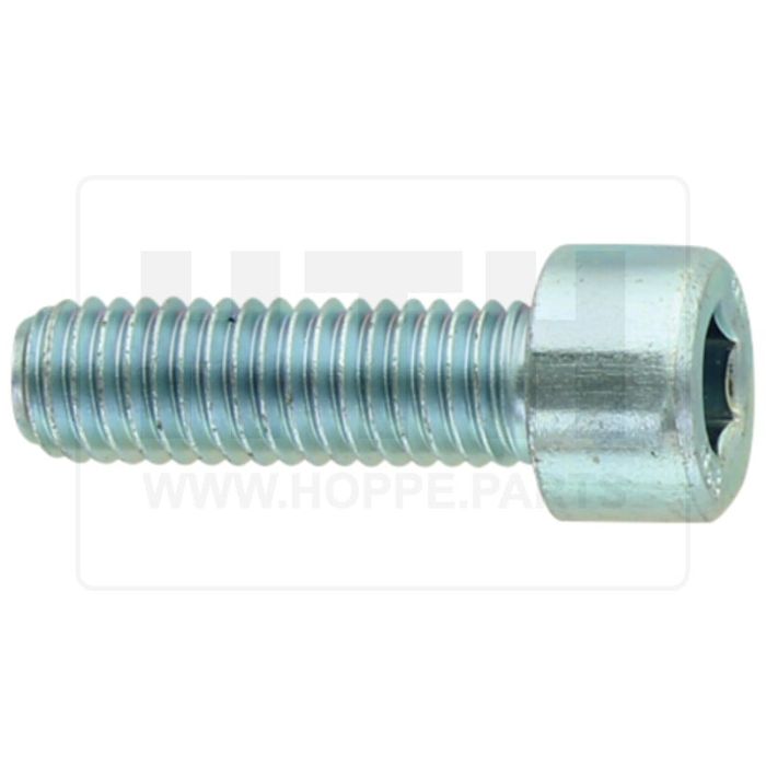 Zylinderschraube ST 8.8 M8x25 DIN 912