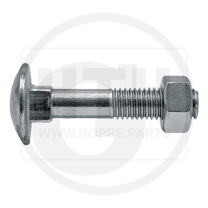 Schlossschraube M6x20 einzeln
