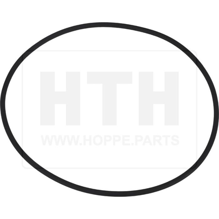 großer O-Ring für Kugel-Ø 250 mm