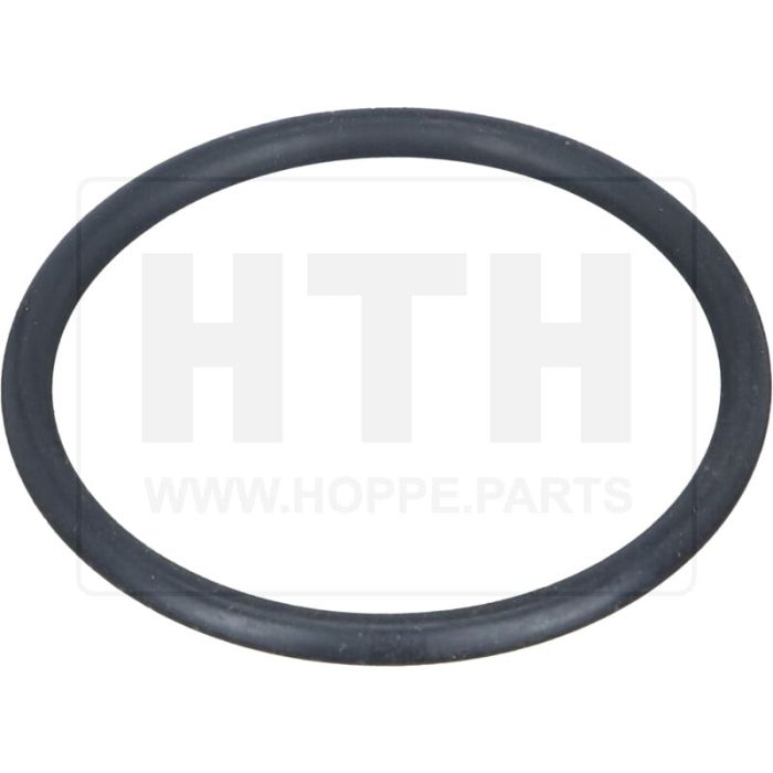 O-Ring für Gelenkwellenflansch