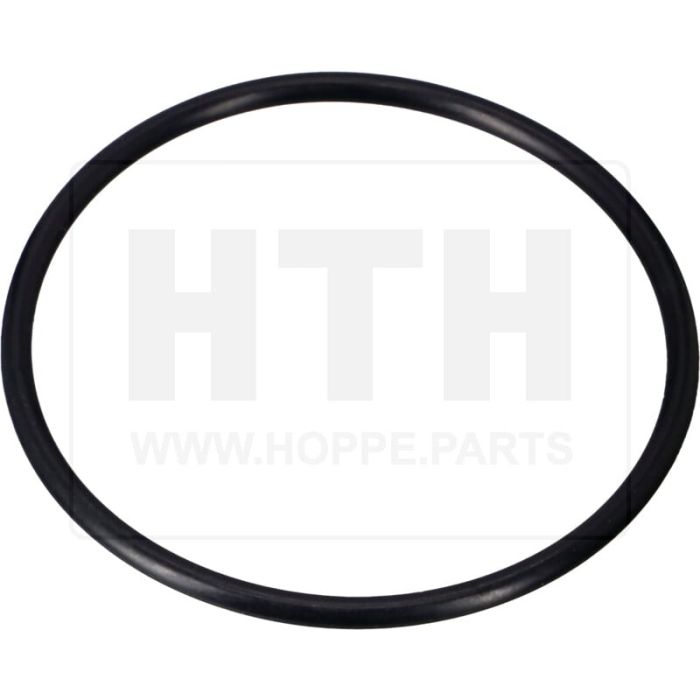 O-Ring für Rücklauffilter