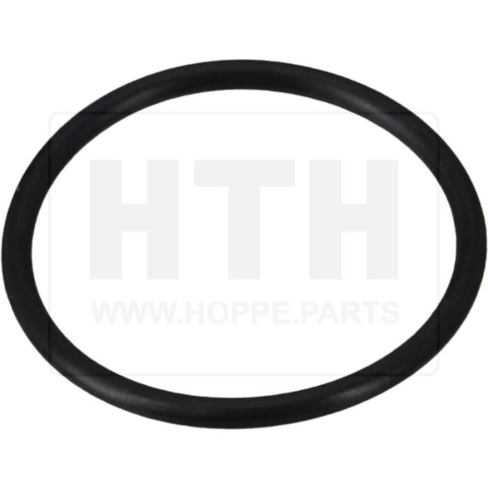 O-Ring für Ventilanflanschung für Hyva