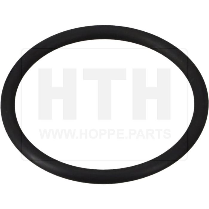 O-Ring für Ventilanflanschung