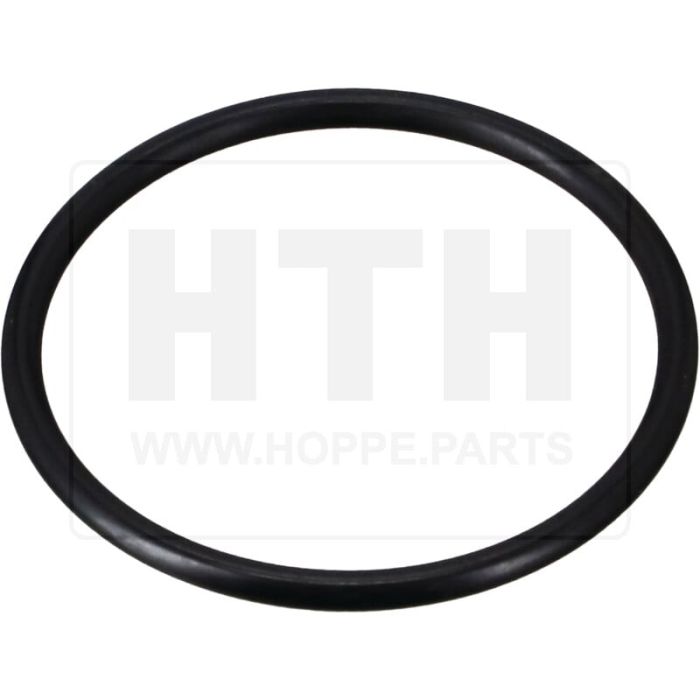 O-Ring 50,8x3,53 O-Ring 50,8x3,53