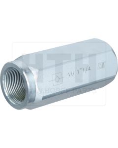 Rückschlagventil  1 1/4" BSP 1,0 bar