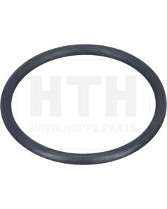 O-Ring für Gelenkwellenflansch