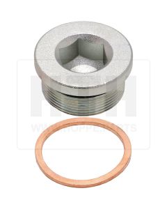 Verschlussstopfen M36x1,5 inkl. Ring