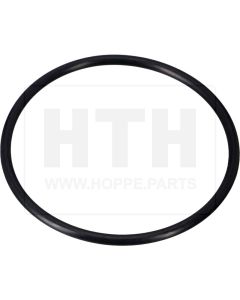 O-Ring für Rücklauffilter