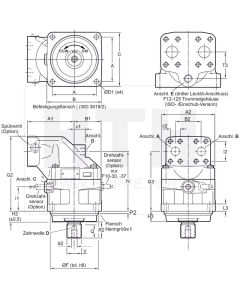 Axialkolbenmotor Parker  F10-080-AF-IV-D