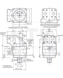 Axialkolbenmotor Parker F12-110-MF-IV-D