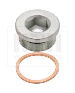 Verschlussstopfen M36x1,5 inkl. Ring